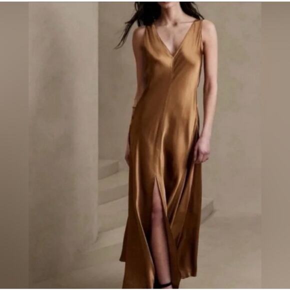Banana Republic Brown Maxi Dress - Picture 6 of 6